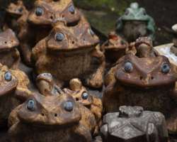 It is also said that Masakado had the capability to manipulate toads. The grave is therefore surrounded by stone figures of frogs and toads. Many peop